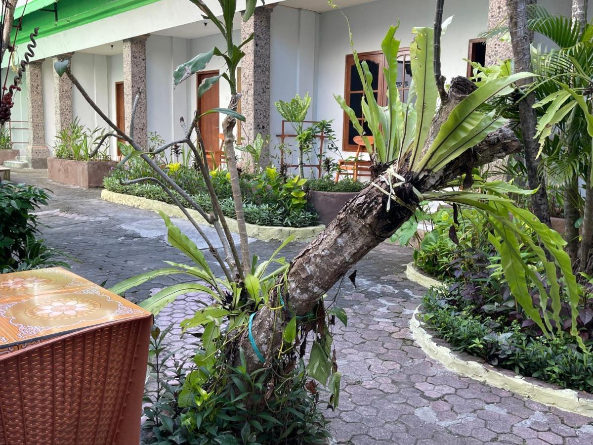 Wisma tamu Mulia Legian Seminyak (Bali)